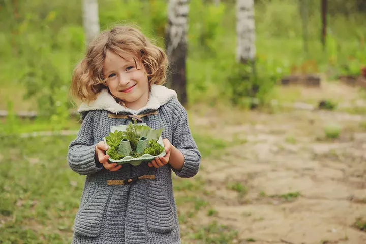 Leaf scavenger hunt for toddlers