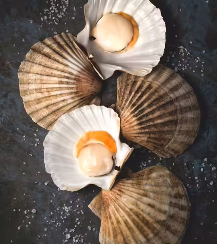 Scallops In Pregnancy Safety, Benefits, And Precautions