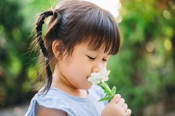 Sensory skills scavenger hunt for toddlers Sensory skills scavenger hunt for toddlers
