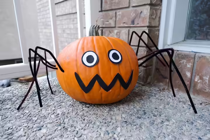 Spider pumpkin painting idea for kids Spider pumpkin painting idea for kids