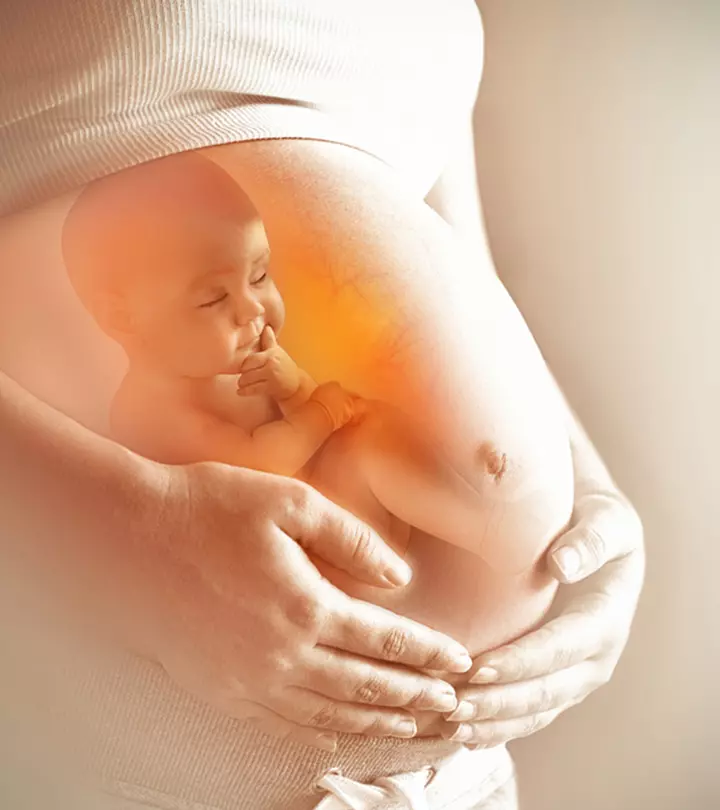 Does A Fetus Feel Pain In The Womb?