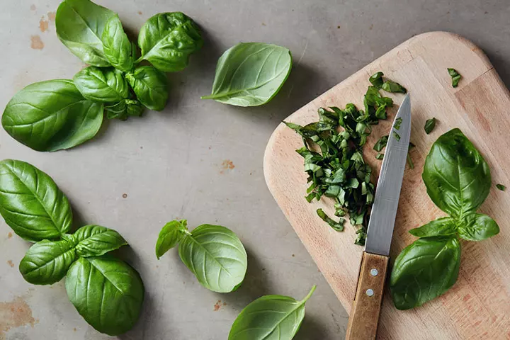 Basil Leaves