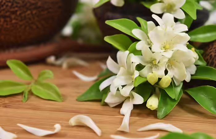 13-Best-Flowers-for-Skin-Care-in-Hindii
