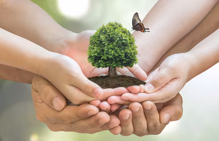 50+ Nature Quotes and Shayari in Hindi