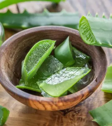 मधुमेह के लिए एलोवेरा का उपयोग – Aloe Vera For Diabetes in Hindi_image