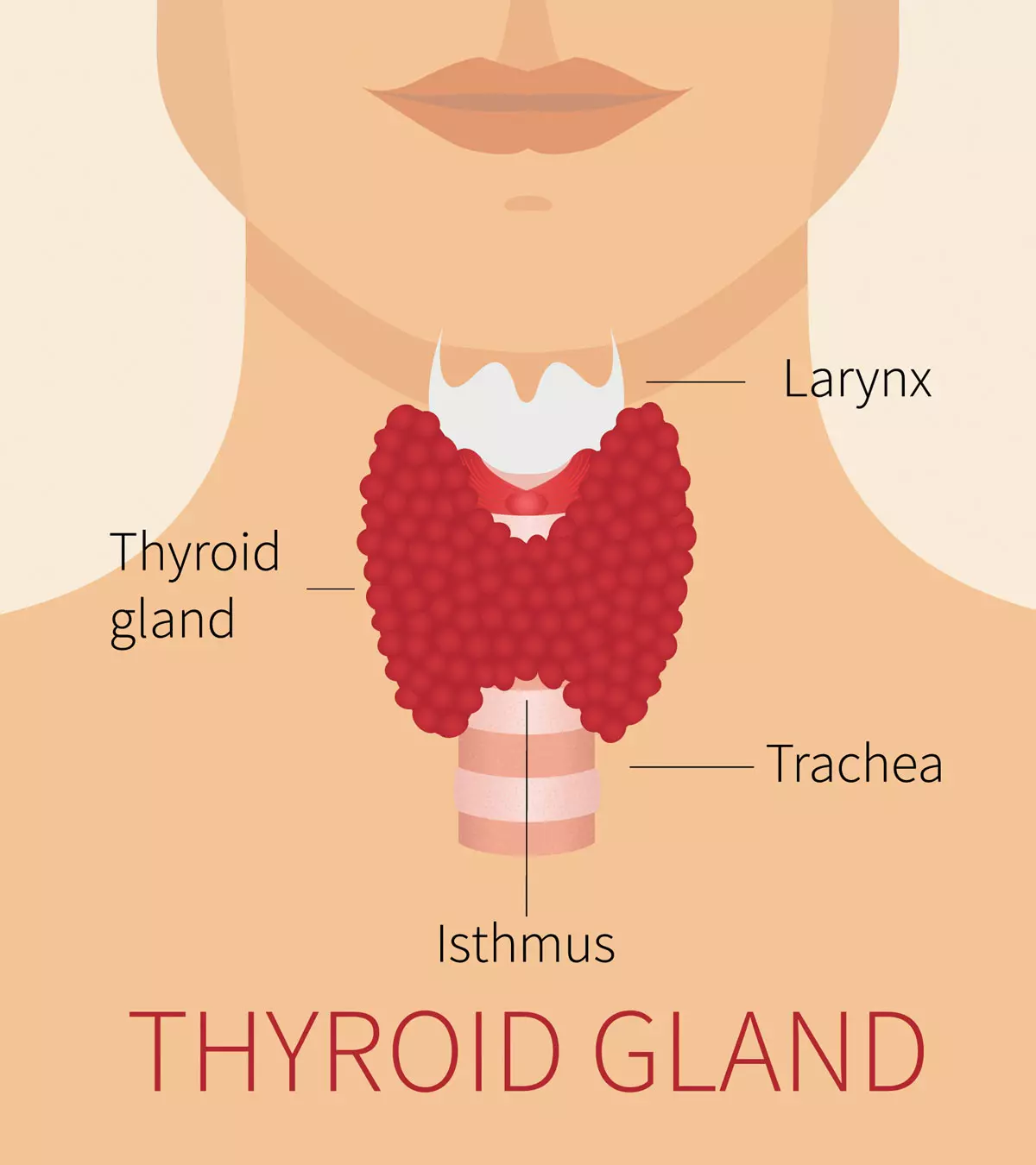 बच्चों में थायराइड के लक्षण व इलाज | Baccho Me Thyroid Ke Lakshan_image