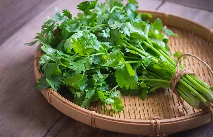 Coriander (Dhaniya)