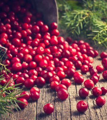 करौंदा (क्रैनबेरी) के फायदे, उपयोग और नुकसान – All About Cranberries in Hindi_image