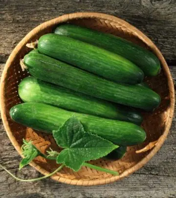 खीरे के फायदे, उपयोग और नुकसान – Cucumber (Kheera) Benefits and Side Effects in Hindi_image