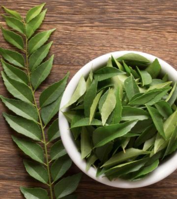 करी पत्ते के 13 फायदे, उपयोग और नुकसान – Curry Leaves Benefits, Uses and Side Effects in Hindi_image