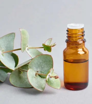 नीलगिरी तेल के फायदे और नुकसान – Eucalyptus Oil (Nilgiri Tel) Benefits and Side Effects in Hindi_image