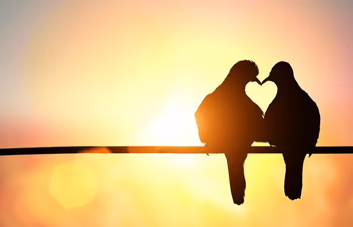 First Love Shayari for Boyfriend in Hindi