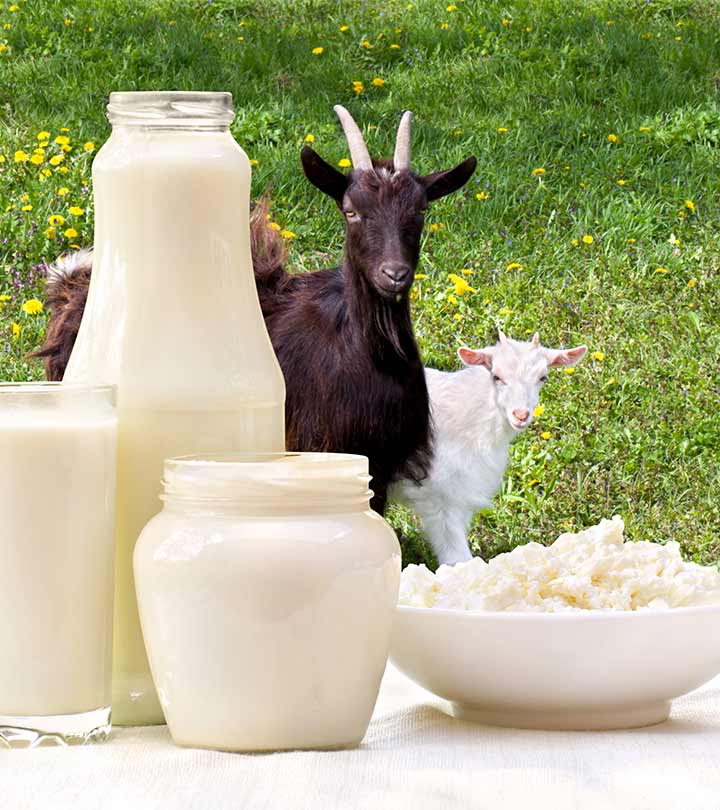 बकरी के दूध के फायदे और नुकसान – Goat Milk Benefits and Side Effects in Hindi_image