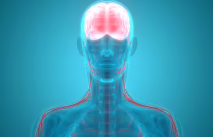 Besan Keep the brain healthy in hindi