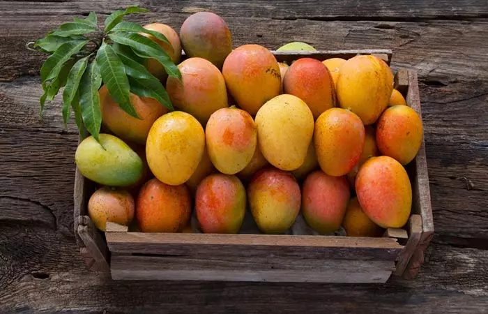 Lines On Mango in Hindi Mango Season