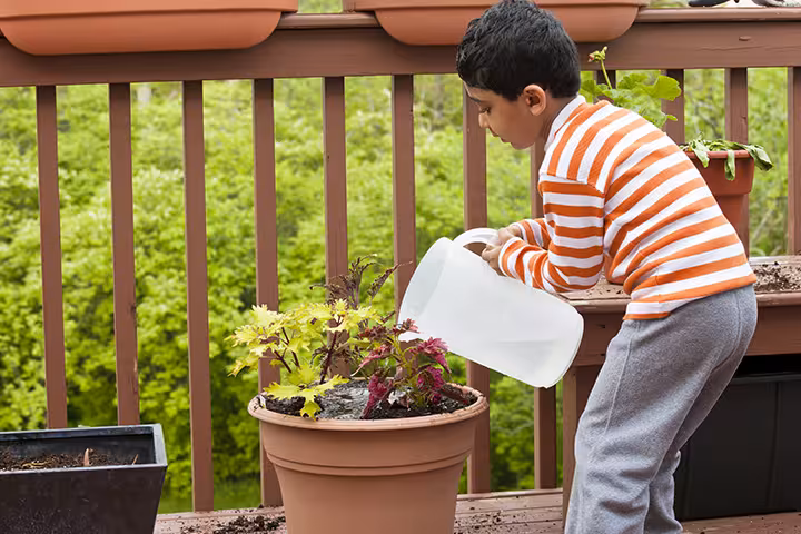 List Of Hobbies For Kids In Hindi 2