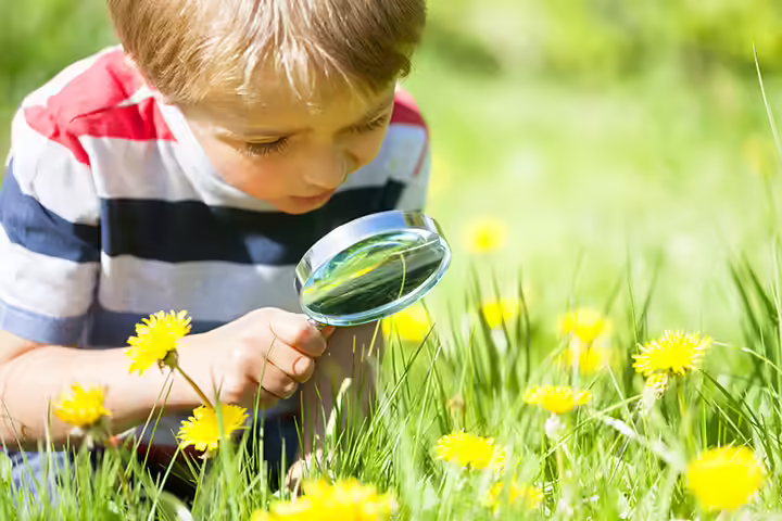 List Of Hobbies For Kids In Hindi 7