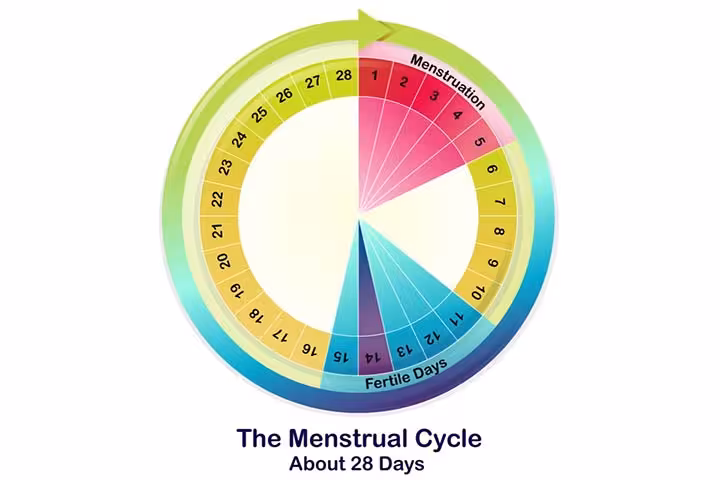 Menstrual Period Meaning In Hindi