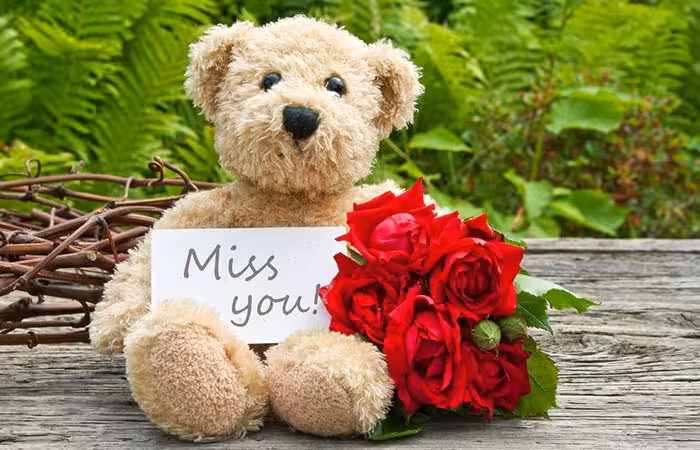 70+ Miss You Quotes and Status in Hindi