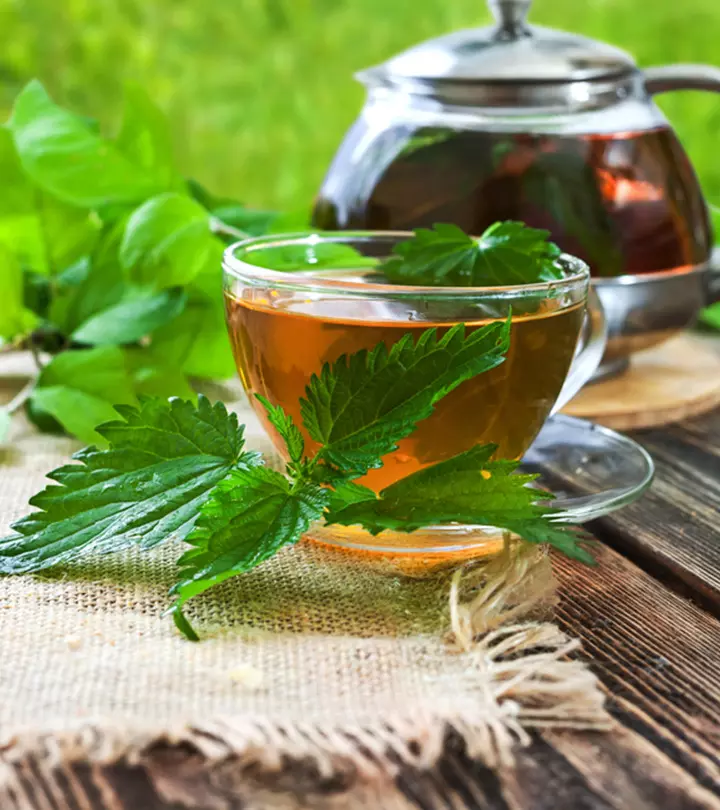 नेटल टी पीने के 6 फायदे और नुकसान – Nettle Tea Benefits and Side Effects in Hindi_image