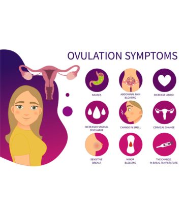 ओवुलेशन (डिंबोत्सर्जन) के 7 प्रमुख लक्षण व गर्भधारण |  Ovulation Signs And Symptoms In Hindi_image