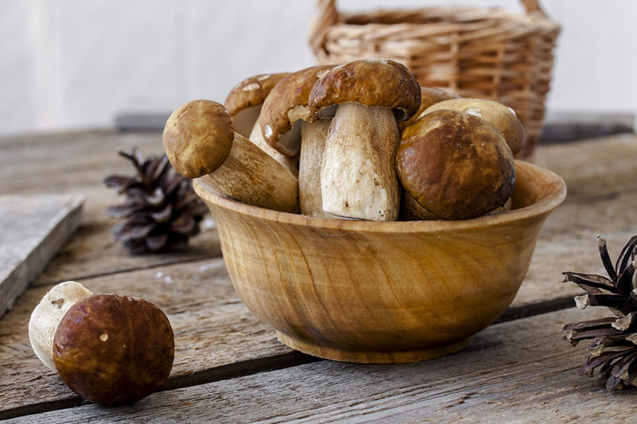 Porcini Mushrooms