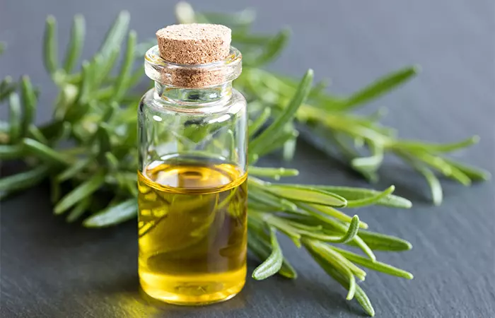 Rosemary Oil