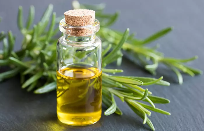 Rosemary oil with tea tree oil for hair growth