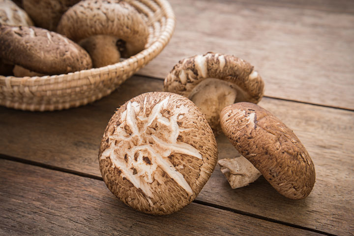 Shiitake Mushroom