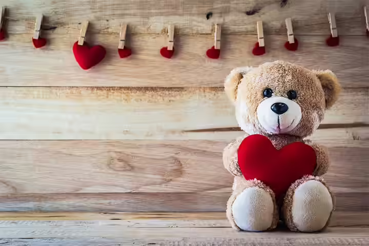 Teddy Bear