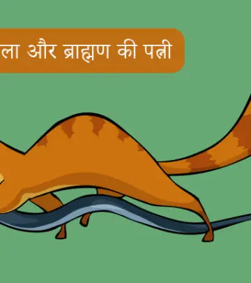 नेवला और ब्राह्मण की पत्नी की कहानी | The Brahmani & The Mongoose Story In Hindi