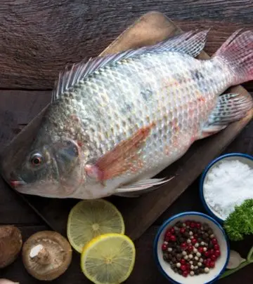 तिलापिया मछली के फायदे और नुकसान – Tilapia Fish Benefits and Side Effects in Hindi_image