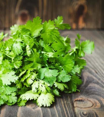 धनिये के पत्ते (हरा धनिया) के फायदे और नुकसान – Benefits Of Coriander Leaves in Hindi_image