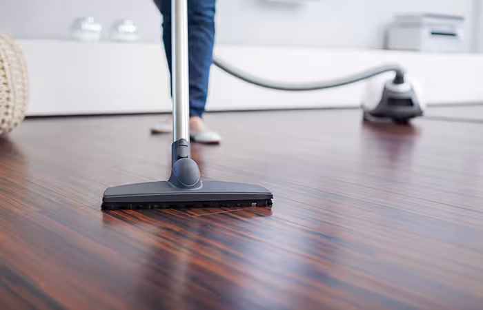 Vacuuming for Bed Bugs in Hindi