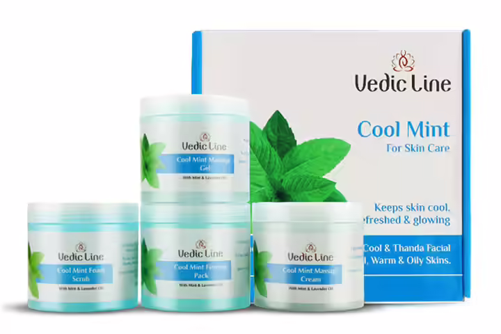 Vedic Line Cool Mint Facial Kit