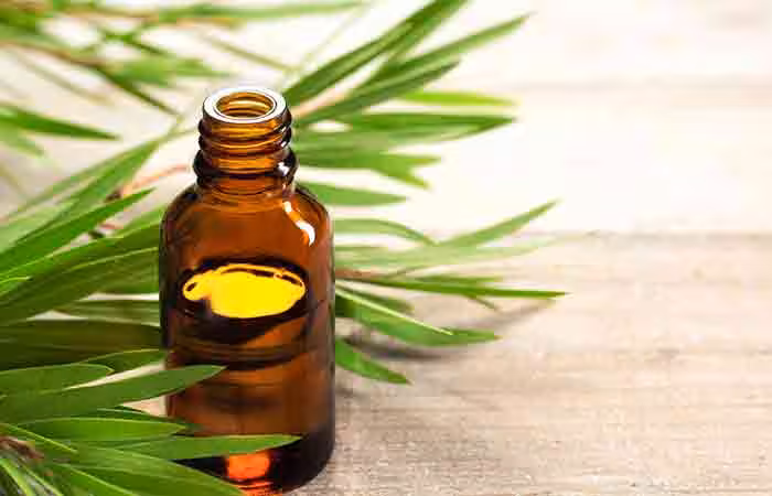 Bottle of mehndi oil extracted from tea tree