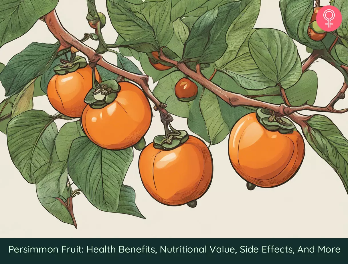 Persimmons Benefits_illustration