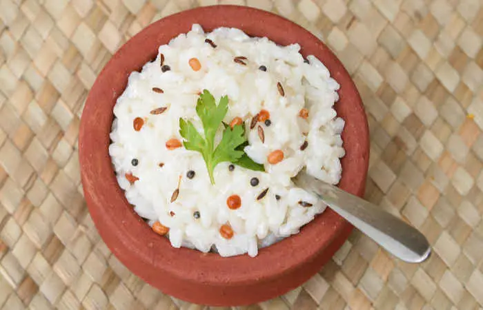 curd rice