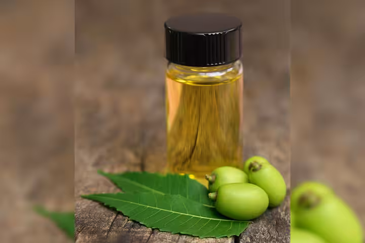 neem oil