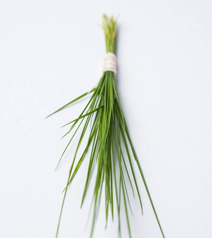 दूब घास के फायदे, उपयोग और नुकसान – Durva (Doob) Grass Benefits and Side Effects in Hindi