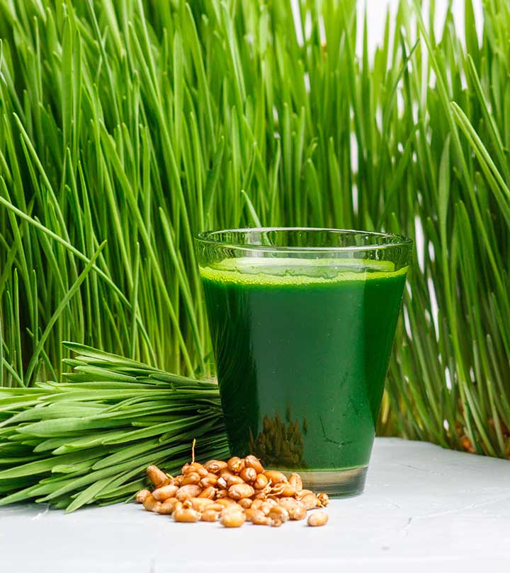 गेहूं के जवारे के फायदे और नुकसान – wheatgrass Benefits and Side Effects in Hindi