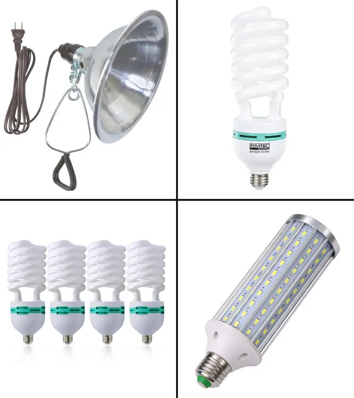 10 Best Light Bulbs For Photography In 2024_image