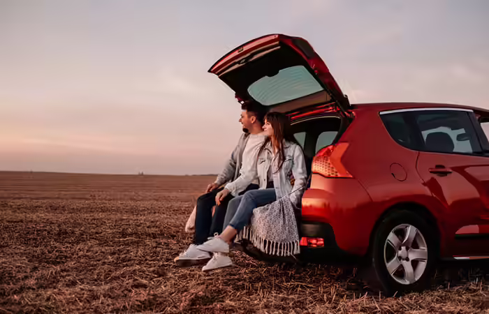 Plan a wonderful picnic or road trip to propose her Plan a wonderful picnic or road trip to propose her