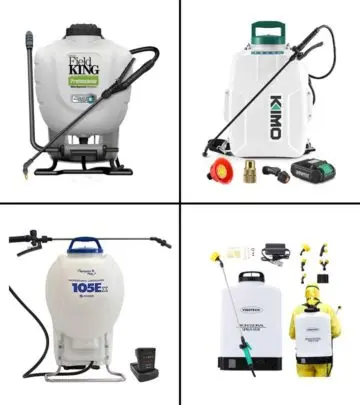 11 Best Backpack Sprayers In 2024 For A Hands-Free Experience_image