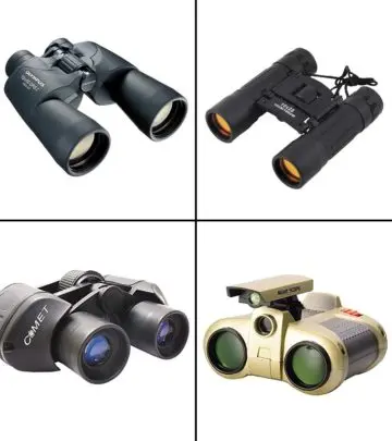 11 Best Binoculars In India In 2024, Adventurer-Recommended_image