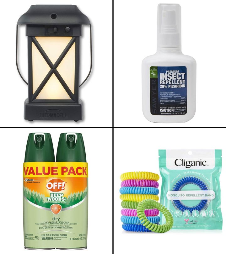 11 Best Bug Repellents for Camping In 2024_image