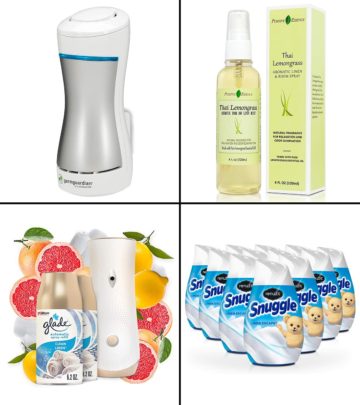 13 Best Air Fresheners For Bathroom In 2024, As Per A Professional Cleaner_image