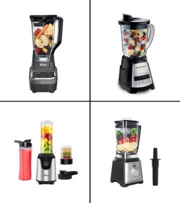 13 Best Blenders For Ice Crushing In 2024, Expert-Reviewed