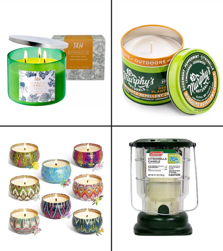 13 Best Citronella Candles In 2024, Home Design Expert-Approved_image