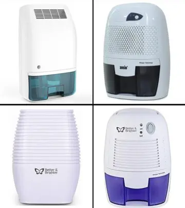 13 Best Dehumidifiers In India In 2024_image